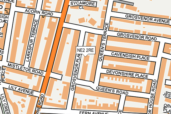 NE2 2RE map - OS OpenMap – Local (Ordnance Survey)