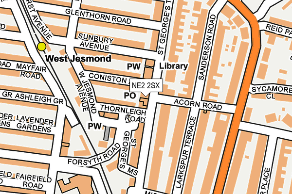 NE2 2SX map - OS OpenMap – Local (Ordnance Survey)