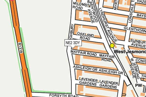 NE2 3DY map - OS OpenMap – Local (Ordnance Survey)