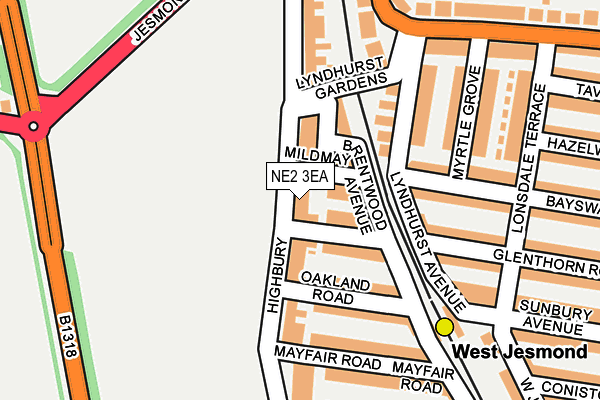 NE2 3EA map - OS OpenMap – Local (Ordnance Survey)