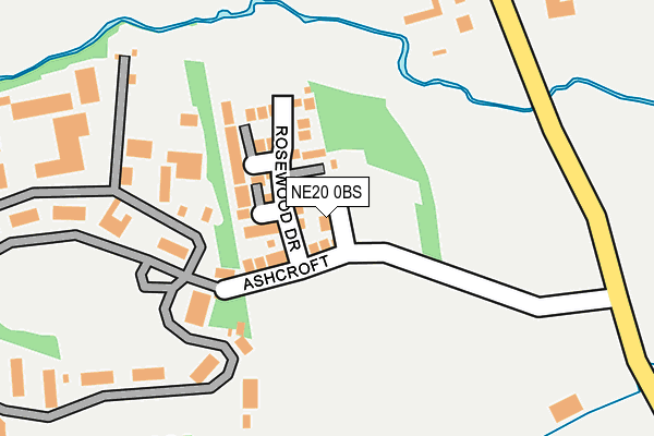 NE20 0BS map - OS OpenMap – Local (Ordnance Survey)