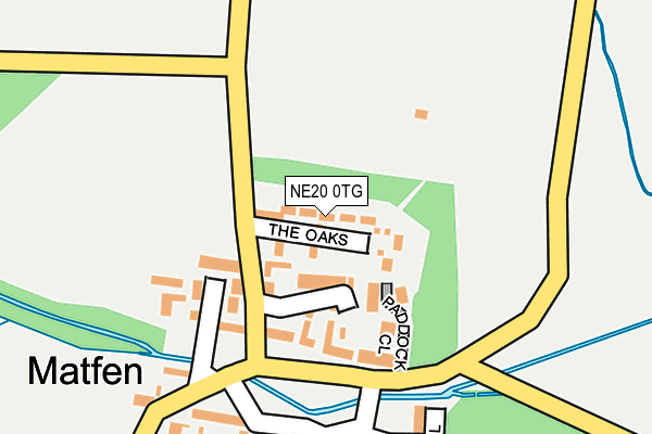 NE20 0TG map - OS OpenMap – Local (Ordnance Survey)