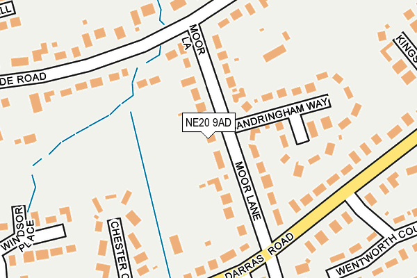 NE20 9AD map - OS OpenMap – Local (Ordnance Survey)