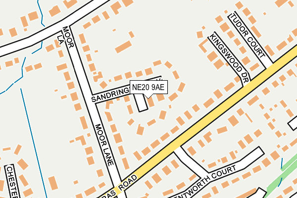 NE20 9AE map - OS OpenMap – Local (Ordnance Survey)
