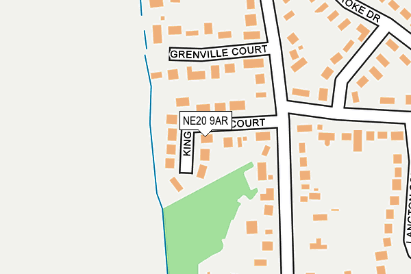 NE20 9AR map - OS OpenMap – Local (Ordnance Survey)