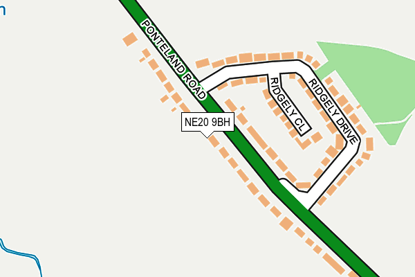 NE20 9BH map - OS OpenMap – Local (Ordnance Survey)