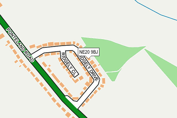 NE20 9BJ map - OS OpenMap – Local (Ordnance Survey)
