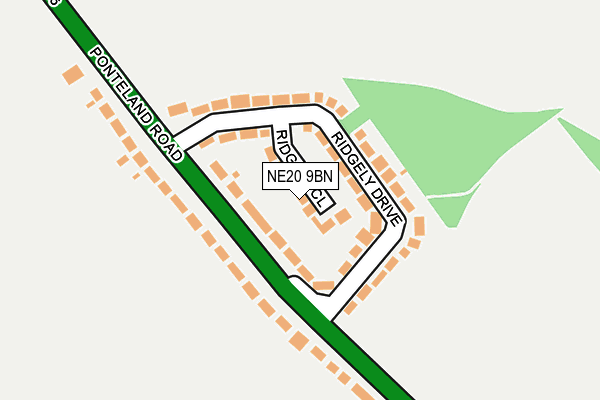NE20 9BN map - OS OpenMap – Local (Ordnance Survey)