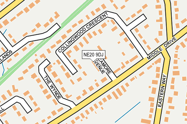 NE20 9DJ map - OS OpenMap – Local (Ordnance Survey)