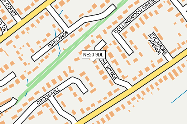 NE20 9DL map - OS OpenMap – Local (Ordnance Survey)