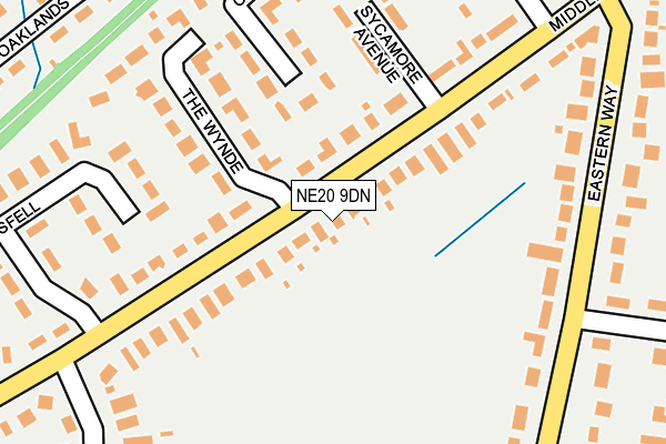 NE20 9DN map - OS OpenMap – Local (Ordnance Survey)
