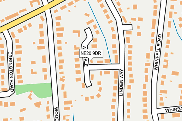 NE20 9DR map - OS OpenMap – Local (Ordnance Survey)