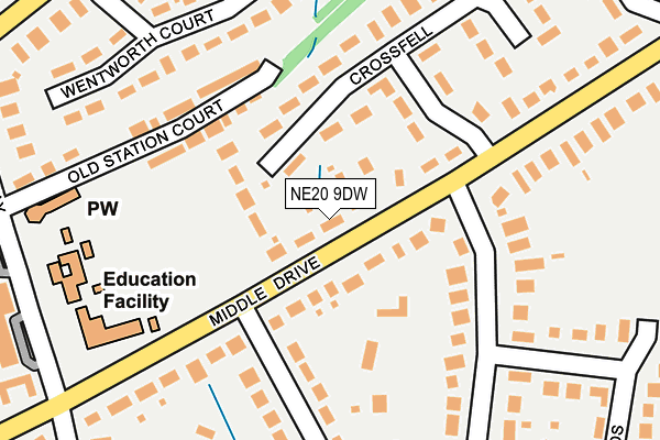 NE20 9DW map - OS OpenMap – Local (Ordnance Survey)