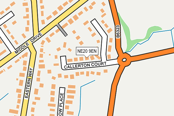 NE20 9EN map - OS OpenMap – Local (Ordnance Survey)