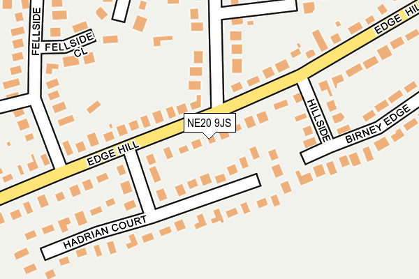 NE20 9JS map - OS OpenMap – Local (Ordnance Survey)