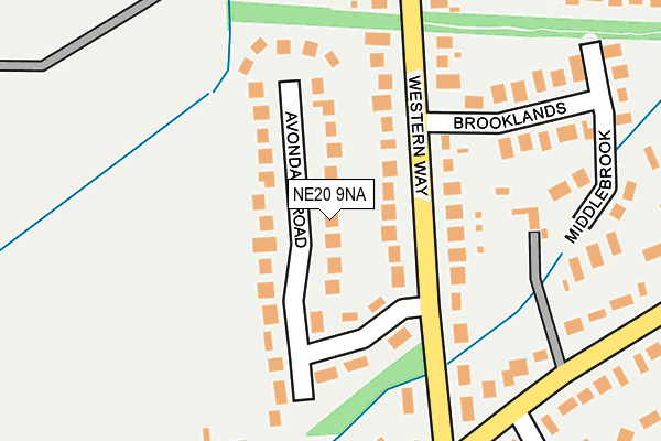 NE20 9NA map - OS OpenMap – Local (Ordnance Survey)
