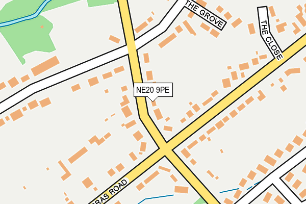 NE20 9PE map - OS OpenMap – Local (Ordnance Survey)