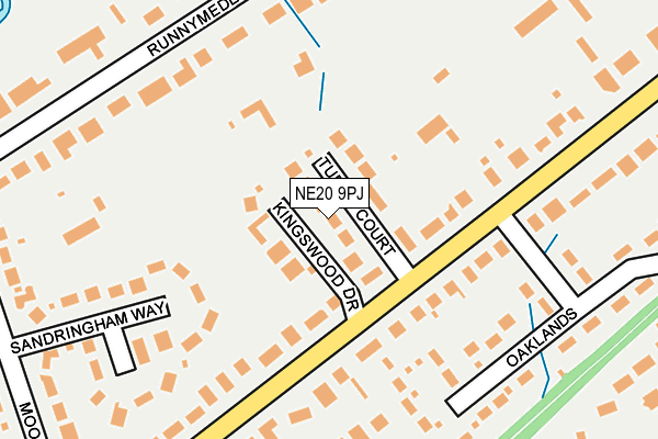 NE20 9PJ map - OS OpenMap – Local (Ordnance Survey)