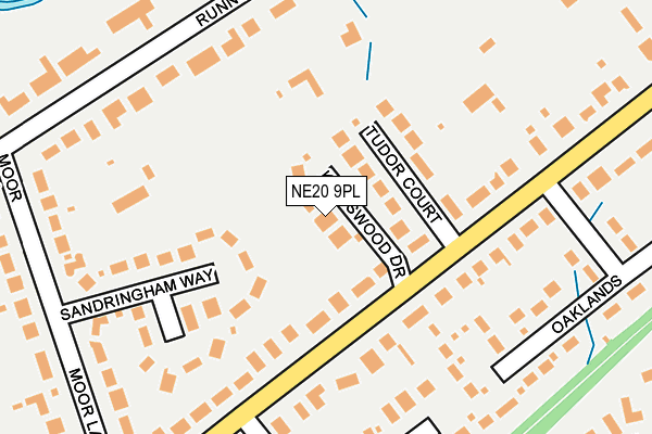 NE20 9PL map - OS OpenMap – Local (Ordnance Survey)