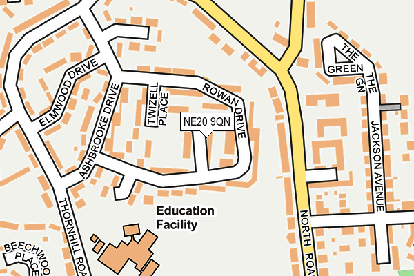 NE20 9QN map - OS OpenMap – Local (Ordnance Survey)