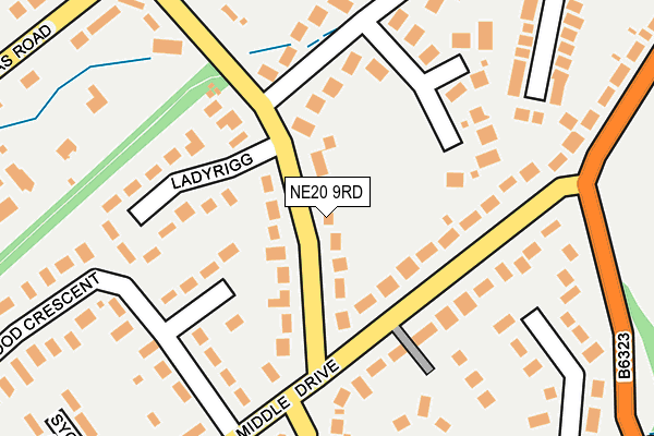 NE20 9RD map - OS OpenMap – Local (Ordnance Survey)