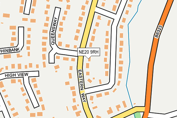 NE20 9RH map - OS OpenMap – Local (Ordnance Survey)