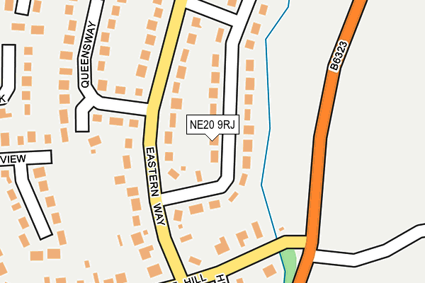 NE20 9RJ map - OS OpenMap – Local (Ordnance Survey)