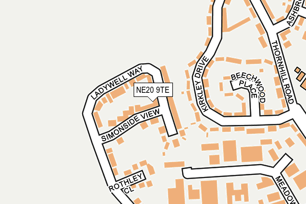 NE20 9TE map - OS OpenMap – Local (Ordnance Survey)