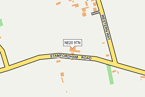 NE20 9TN map - OS OpenMap – Local (Ordnance Survey)