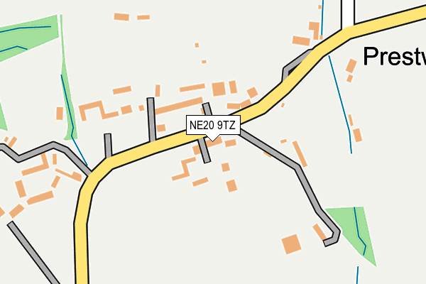 NE20 9TZ map - OS OpenMap – Local (Ordnance Survey)