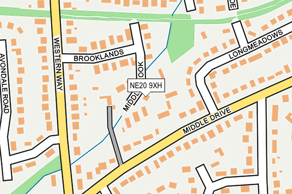 NE20 9XH map - OS OpenMap – Local (Ordnance Survey)