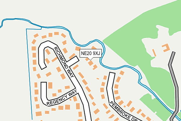 NE20 9XJ map - OS OpenMap – Local (Ordnance Survey)