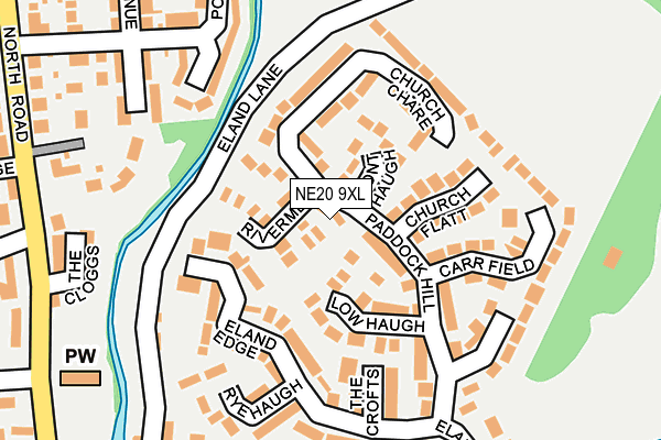NE20 9XL map - OS OpenMap – Local (Ordnance Survey)