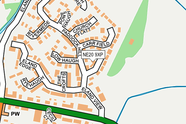 NE20 9XP map - OS OpenMap – Local (Ordnance Survey)