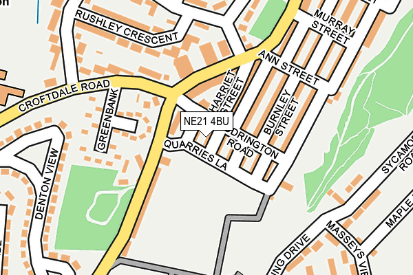NE21 4BU map - OS OpenMap – Local (Ordnance Survey)