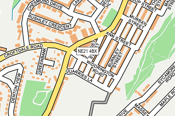 NE21 4BX map - OS OpenMap – Local (Ordnance Survey)