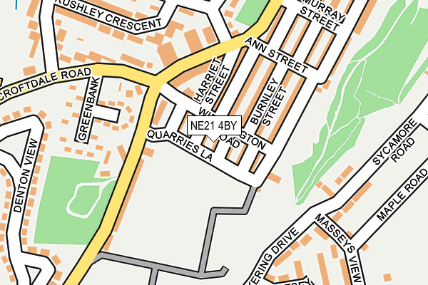 NE21 4BY map - OS OpenMap – Local (Ordnance Survey)