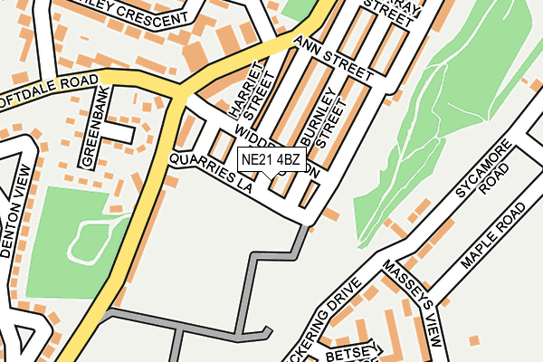 NE21 4BZ map - OS OpenMap – Local (Ordnance Survey)