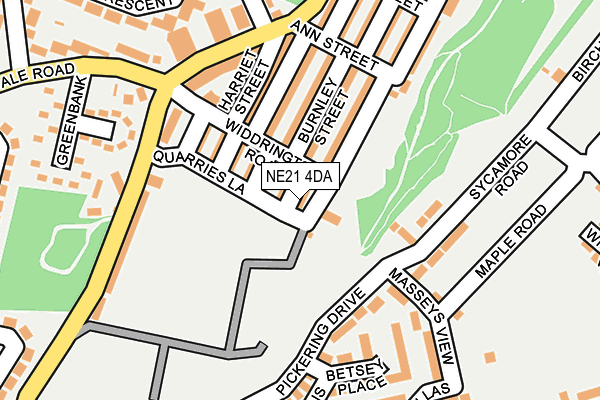 NE21 4DA map - OS OpenMap – Local (Ordnance Survey)