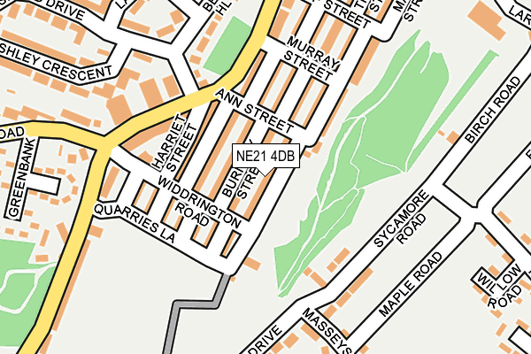 NE21 4DB map - OS OpenMap – Local (Ordnance Survey)