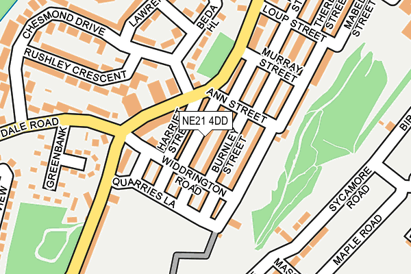 NE21 4DD map - OS OpenMap – Local (Ordnance Survey)