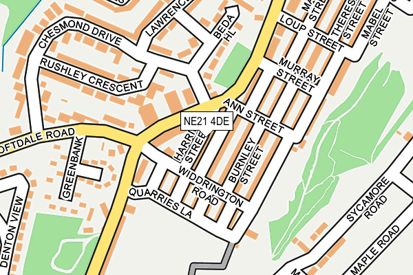 NE21 4DE map - OS OpenMap – Local (Ordnance Survey)