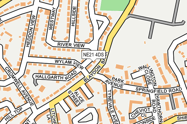 NE21 4DS map - OS OpenMap – Local (Ordnance Survey)