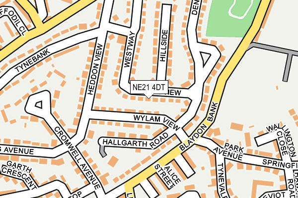 NE21 4DT map - OS OpenMap – Local (Ordnance Survey)