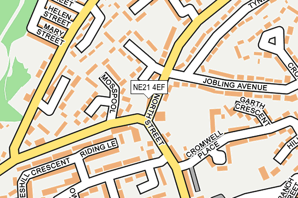 NE21 4EF map - OS OpenMap – Local (Ordnance Survey)