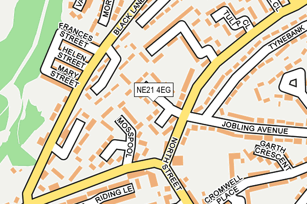 NE21 4EG map - OS OpenMap – Local (Ordnance Survey)