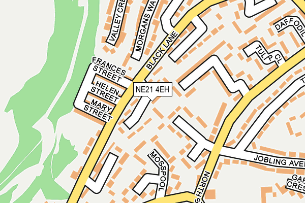 NE21 4EH map - OS OpenMap – Local (Ordnance Survey)