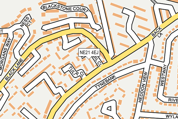 NE21 4EJ map - OS OpenMap – Local (Ordnance Survey)