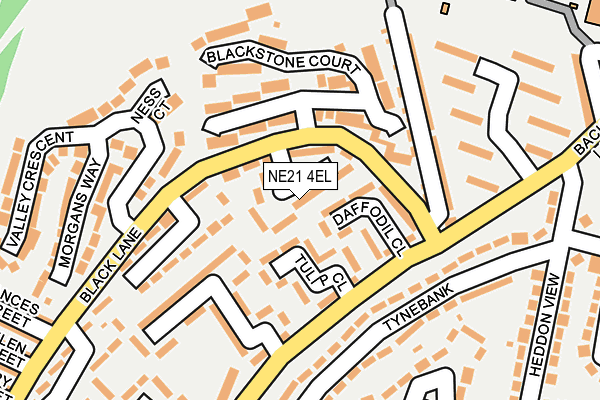 NE21 4EL map - OS OpenMap – Local (Ordnance Survey)
