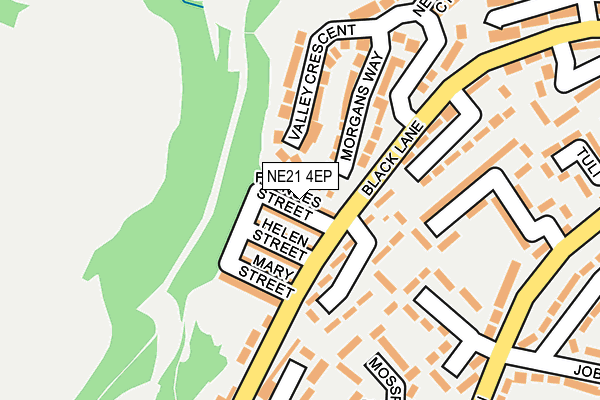 NE21 4EP map - OS OpenMap – Local (Ordnance Survey)